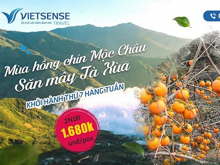 Chương trình Mộc Châu Mùa hoa mơ hoa mận - Săn Mây Tà Xùa Chương trình Mộc Châu Mùa hoa mơ hoa mận - Săn Mây Tà Xùa