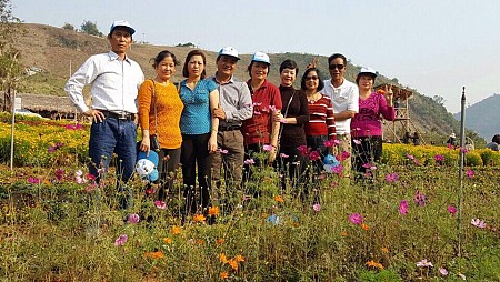 Mùa Hoa Mận & Hoa Ban
