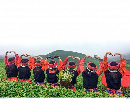 Khám Phá Nét Đẹp Văn Hóa Của Đồng Bào Dân Tộc Thái, H’mông Mùa Hoa Cải Trắng | 2 Ngày 1 Đêm