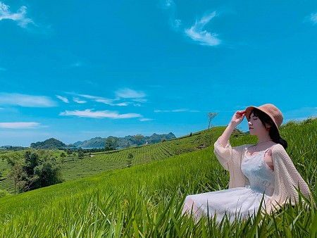 hành trình Mộc Châu Tháng 11 Có Gì Vui Và Hấp Dẫn Không ?