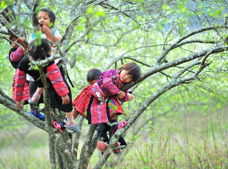 Chương trình Cao Nguyên Mộc Châu – Điện Biên