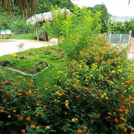 Homestay Moc Chau Eco House