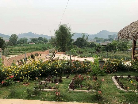 Homestay Moc Chau Eco House