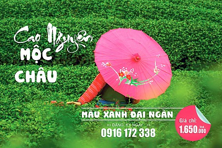 Lóng Luông - Rừng thông - Bản Áng - Trang Trại dâu tây Chimi Fam | 2 Ngày 1 Đêm Lóng Luông - Rừng thông - Bản Áng - Trang Trại dâu tây Chimi Fam | 2 Ngày 1 Đêm