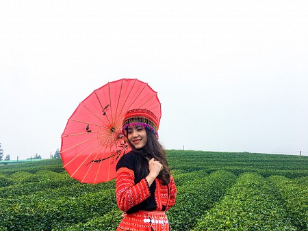 Mai Châu - Mộc Châu - Đồi Chè – Vườn Mận | 30 tháng 4 – 3 Ngày 2 Đêm