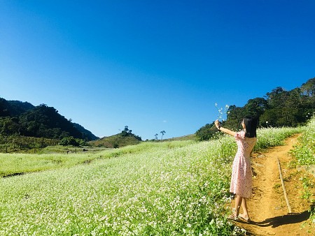 Mai Châu - Mộc Châu Mùa Hoa Cải - 2 Ngày 1 Đêm Tháng 9