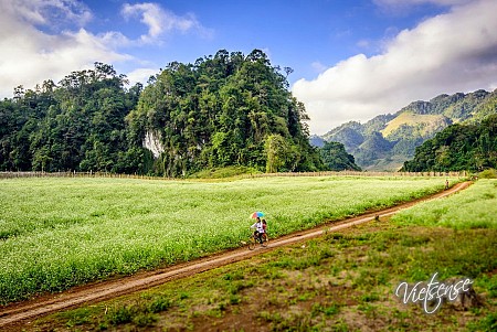 Mai Châu - Mộc Châu Mùa Hoa Cải - 2 Ngày 1 Đêm Tháng 9