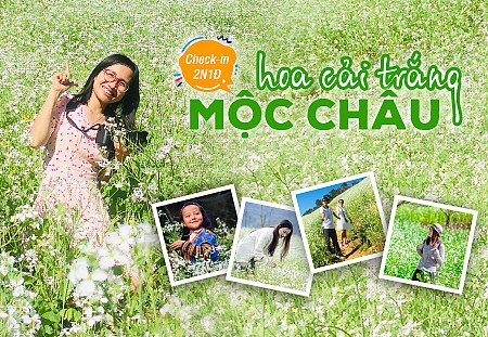 Mai Châu - Mộc Châu Mùa Hoa Cải - 2 Ngày 1 Đêm Tháng 9 Mai Châu - Mộc Châu Mùa Hoa Cải - 2 Ngày 1 Đêm Tháng 9