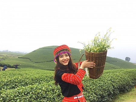 Mộc Châu đẹp cùng 3 thần thái