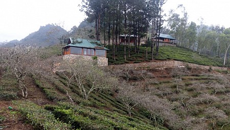 Moc Chau Sunrise Ecolodge