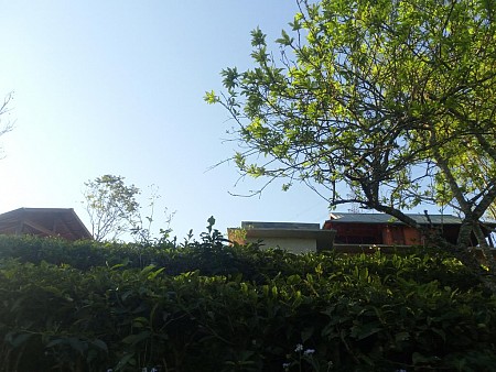 Moc Chau Sunrise Ecolodge