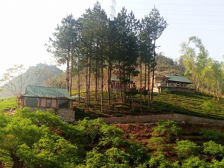 Moc Chau Sunrise Ecolodge