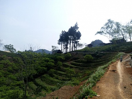 Moc Chau Sunrise Ecolodge