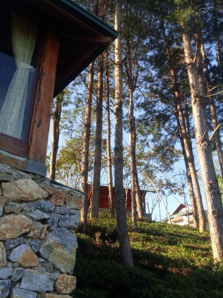 Moc Chau Sunrise Ecolodge