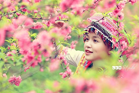 Mùa Hoa Mận & Hoa Ban Mùa Hoa Mận & Hoa Ban
