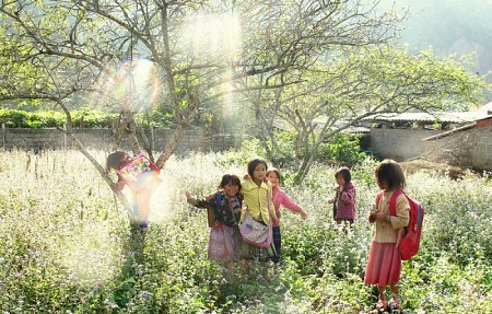 Mùa Thu Về Trên Cao Nguyên Trắng Mộc Châu