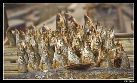 Ngất Ngây Cá Suối Mộc Châu Ngất Ngây Cá Suối Mộc Châu