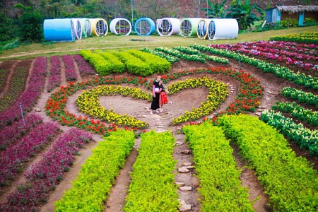 Nghỉ lễ 02/09 tại Mộc Châu chỉ với 850k – khó tin nhưng đó là thật!