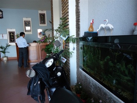 Nhà Nghỉ Thảo Nguyên