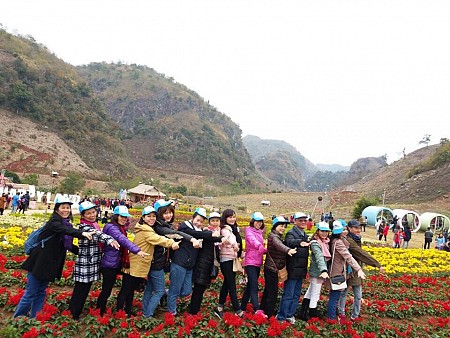 Rừng Thông bảng Áng - Tây Thiên đệ Nhất động - Thác Dải Yếm - Đồi Chè 2 Ngày 1 Đêm Khởi Hành Hàng Ngày