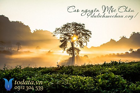 Rừng Thông bảng Áng - Tây Thiên đệ Nhất động - Thác Dải Yếm - Đồi Chè 2 Ngày 1 Đêm Khởi Hành Hàng Ngày