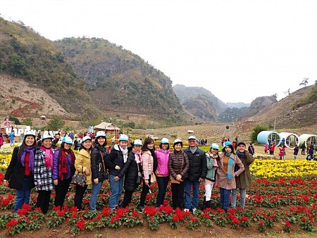 Rừng Thông bảng Áng - Tây Thiên đệ Nhất động - Thác Dải Yếm - Đồi Chè 2 Ngày 1 Đêm Khởi Hành Hàng Ngày
