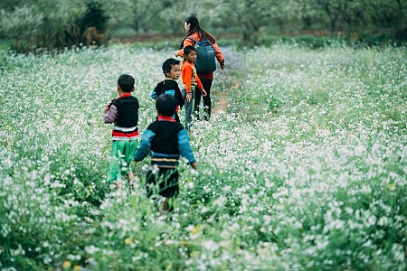 Hà Nội - Mai Châu - Mộc Châu - Khuyến Mại Tháng 9 + 10