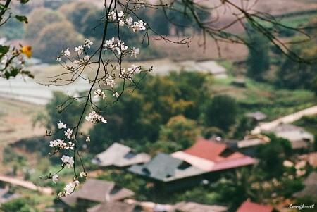 Hà Nội - Mai Châu - Mộc Châu - Khuyến Mại Tháng 9 + 10