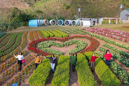 Hà Nội - Mai Châu - Mộc Châu Mùa Mận Chín | 2 Ngày 1 Đêm Dịp 30/4 và 1/5
