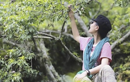 Mai Châu - Mộc Châu - Đồi Chè – Vườn Mận | 30 tháng 4 – 3 Ngày 2 Đêm