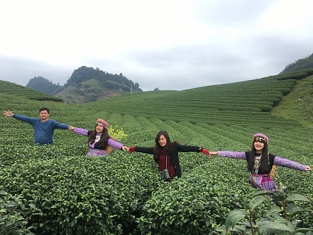 Mai Châu - Mộc Châu - Đồi Chè – Vườn Mận | 30 tháng 4 – 3 Ngày 2 Đêm