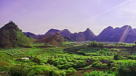 Lóng Luông - Rừng thông - Bản Áng - Trang Trại dâu tây Chimi Fam | 2 Ngày 1 Đêm