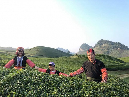 chương trình Hà Nội - Mai Châu - Mộc Châu Mùa Mận Chín Dịp Lễ 30/4 - 1/5