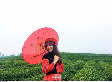 chương trình Hà Nội - Mai Châu - Mộc Châu Mùa Mận Chín Dịp Lễ 30/4 - 1/5