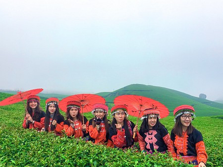 chương trình HÀ NỘI - MAI CHÂU - MỘC CHÂU - KHUYẾN MẠI Dịp 2/9