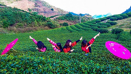 chương trình HÀ NỘI - MAI CHÂU - MỘC CHÂU - KHUYẾN MẠI Dịp 2/9