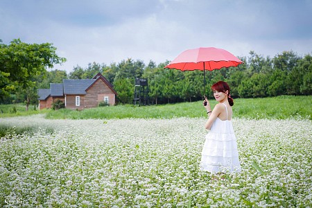 chương trình HÀ NỘI - MAI CHÂU - MỘC CHÂU - KHUYẾN MẠI Dịp 2/9