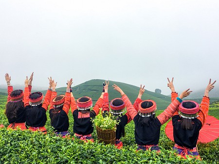 chương trình HÀ NỘI - MAI CHÂU - MỘC CHÂU - KHUYẾN MẠI Dịp 2/9