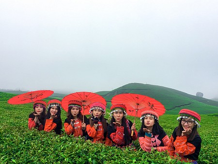 chương trình HÀ NỘI - MAI CHÂU - MỘC CHÂU - KHUYẾN MẠI Dịp 2/9