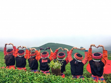 chương trình HÀ NỘI - MAI CHÂU - MỘC CHÂU - KHUYẾN MẠI Dịp 2/9