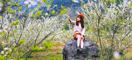 Chương trình Mùa Hoa Mận 2025