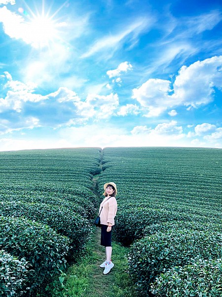 Chương trình Mùa Hoa Mận 2025