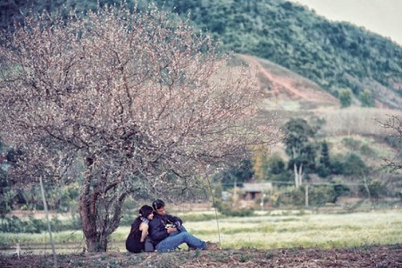 Hà Nội - Mai Châu - Mộc Châu Mùa Hoa Mơ & Hoa Mận
