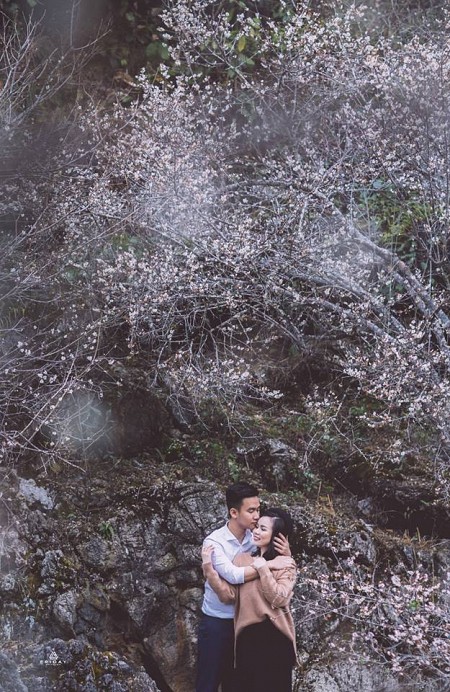 Hà Nội - Mai Châu - Mộc Châu Mùa Hoa Mơ & Hoa Mận