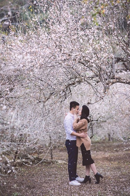 Hà Nội - Mai Châu - Mộc Châu Mùa Hoa Mơ & Hoa Mận