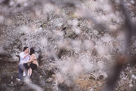 Hà Nội - Mai Châu - Mộc Châu Mùa Hoa Mơ & Hoa Mận