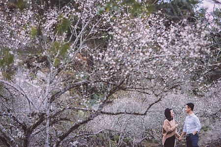 Hà Nội - Mai Châu - Mộc Châu Mùa Hoa Mơ & Hoa Mận