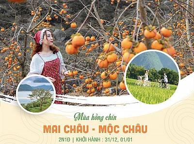 Mai Châu - Mộc Châu - Vườn Hồng Mộc Châu - Rừng Thông Bản Áng - Thung Lũng Mận Nà Ka - Đồi Chè