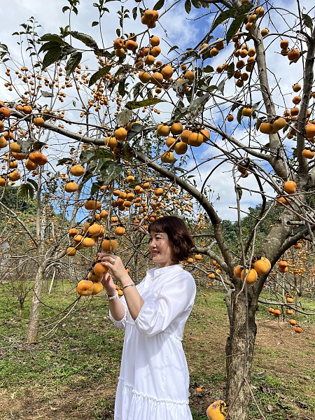 Mai Châu - Mộc Châu - Vườn Hồng Mộc Châu - Rừng Thông Bản Áng - Thung Lũng Mận Nà Ka - Đồi Chè