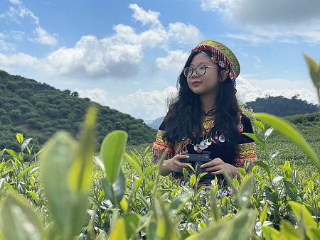 Mai Châu - Mộc Châu - Vườn Hồng Mộc Châu - Rừng Thông Bản Áng - Thung Lũng Mận Nà Ka - Đồi Chè